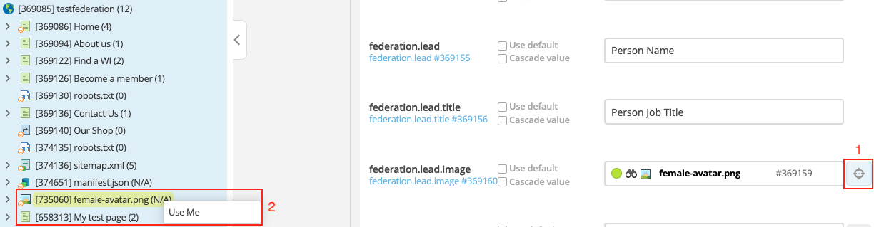 select image using crosshair