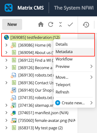 open metadata from the asset tree