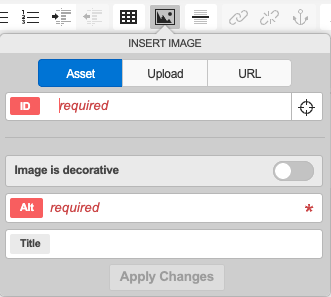 Insert Image WYSIWYG Box