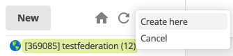 createing new asset under the federation site