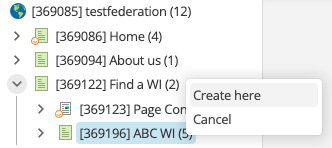 creating a new asset under a WI page